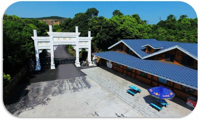 常州拓展基地成功举办户外拓展活动，展现团队风采